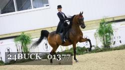 24BUCK_01377 thumbnail