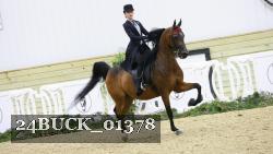 24BUCK_01378 thumbnail