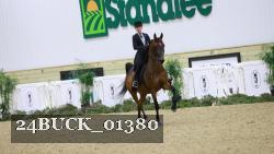 24BUCK_01380 thumbnail