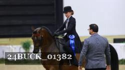 24BUCK_01382 thumbnail