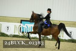 24BUCK_01383 thumbnail