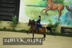24BUCK_01384 thumbnail