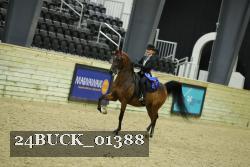 24BUCK_01388 thumbnail