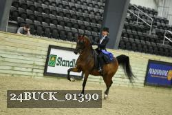 24BUCK_01390 thumbnail
