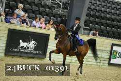 24BUCK_01391 thumbnail