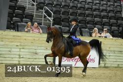 24BUCK_01395 thumbnail