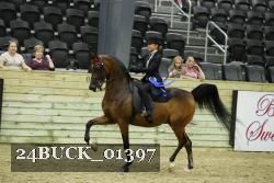 24BUCK_01397 thumbnail