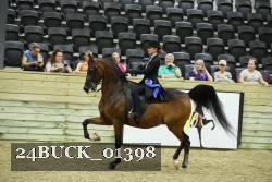 24BUCK_01398 thumbnail