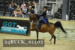 24BUCK_01402 thumbnail