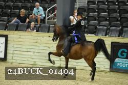 24BUCK_01404 thumbnail