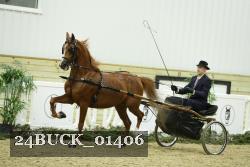 24BUCK_01406 thumbnail