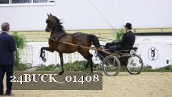 24BUCK_01408 thumbnail