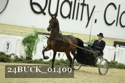 24BUCK_01409 thumbnail