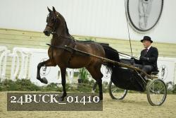 24BUCK_01410 thumbnail