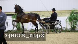 24BUCK_01418 thumbnail