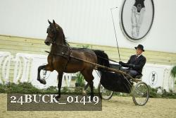 24BUCK_01419 thumbnail