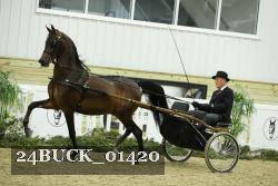 24BUCK_01420 thumbnail