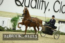 24BUCK_01425 thumbnail