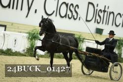 24BUCK_01427 thumbnail