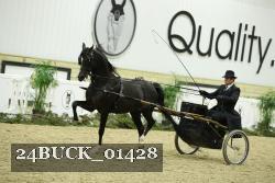 24BUCK_01428 thumbnail