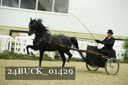 24BUCK_01429 thumbnail