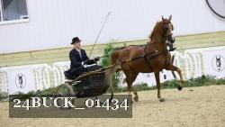 24BUCK_01434 thumbnail