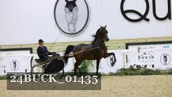 24BUCK_01435 thumbnail