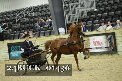 24BUCK_01436 thumbnail