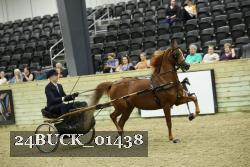 24BUCK_01438 thumbnail
