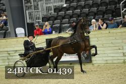 24BUCK_01439 thumbnail