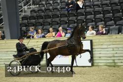 24BUCK_01440 thumbnail