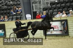 24BUCK_01442 thumbnail
