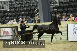 24BUCK_01443 thumbnail