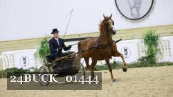 24BUCK_01444 thumbnail