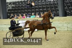 24BUCK_01447 thumbnail