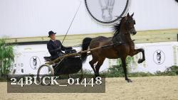 24BUCK_01448 thumbnail