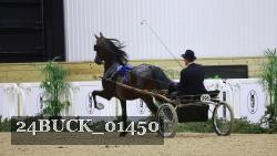24BUCK_01450 thumbnail
