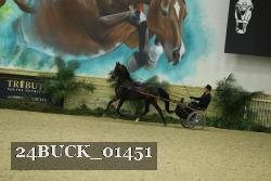 24BUCK_01451 thumbnail