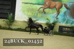 24BUCK_01452 thumbnail