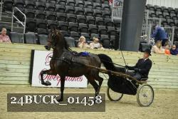24BUCK_01458 thumbnail