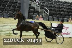 24BUCK_01459 thumbnail
