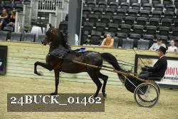 24BUCK_01462 thumbnail
