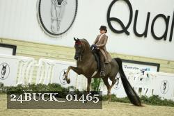 24BUCK_01465 thumbnail