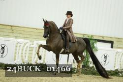 24BUCK_01466 thumbnail