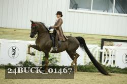 24BUCK_01467 thumbnail