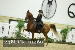 24BUCK_01469 thumbnail