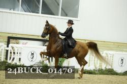 24BUCK_01470 thumbnail