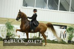 24BUCK_01471 thumbnail