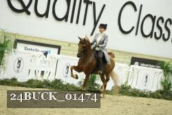 24BUCK_01474 thumbnail