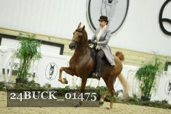24BUCK_01475 thumbnail